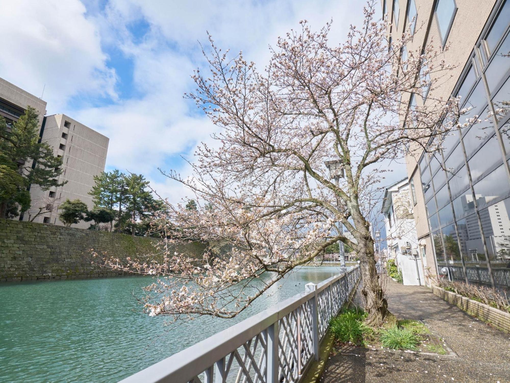 Hotel Fukui Castle - Vacation Stay 58696V Екстериор снимка