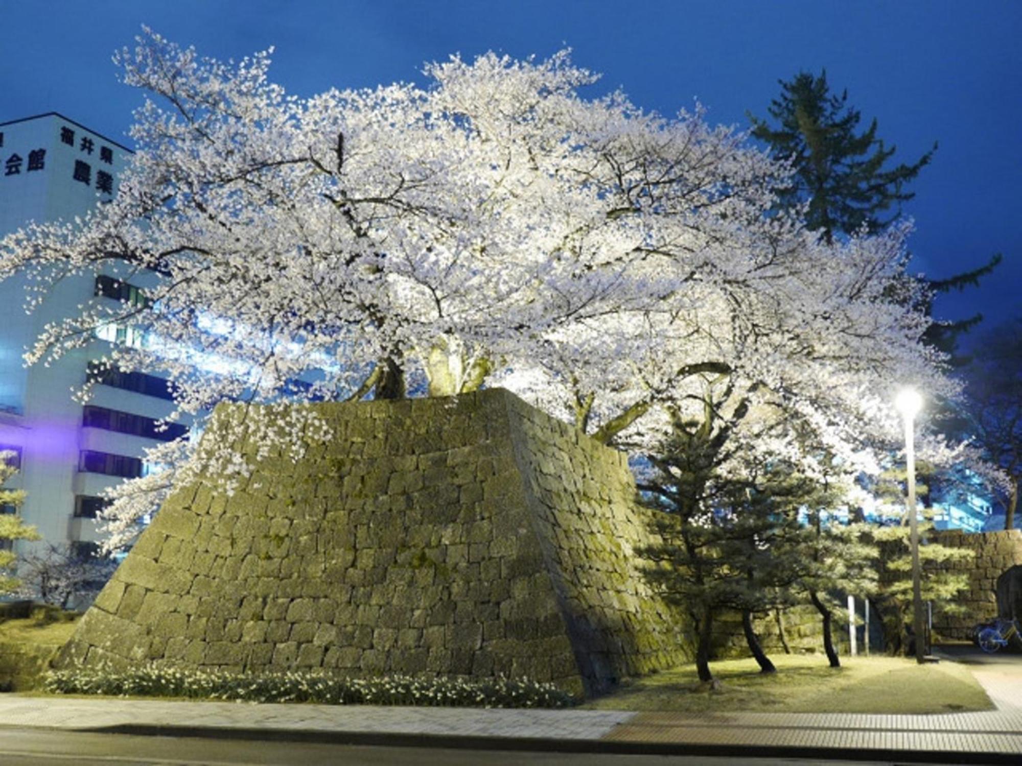 Hotel Fukui Castle - Vacation Stay 58696V Екстериор снимка